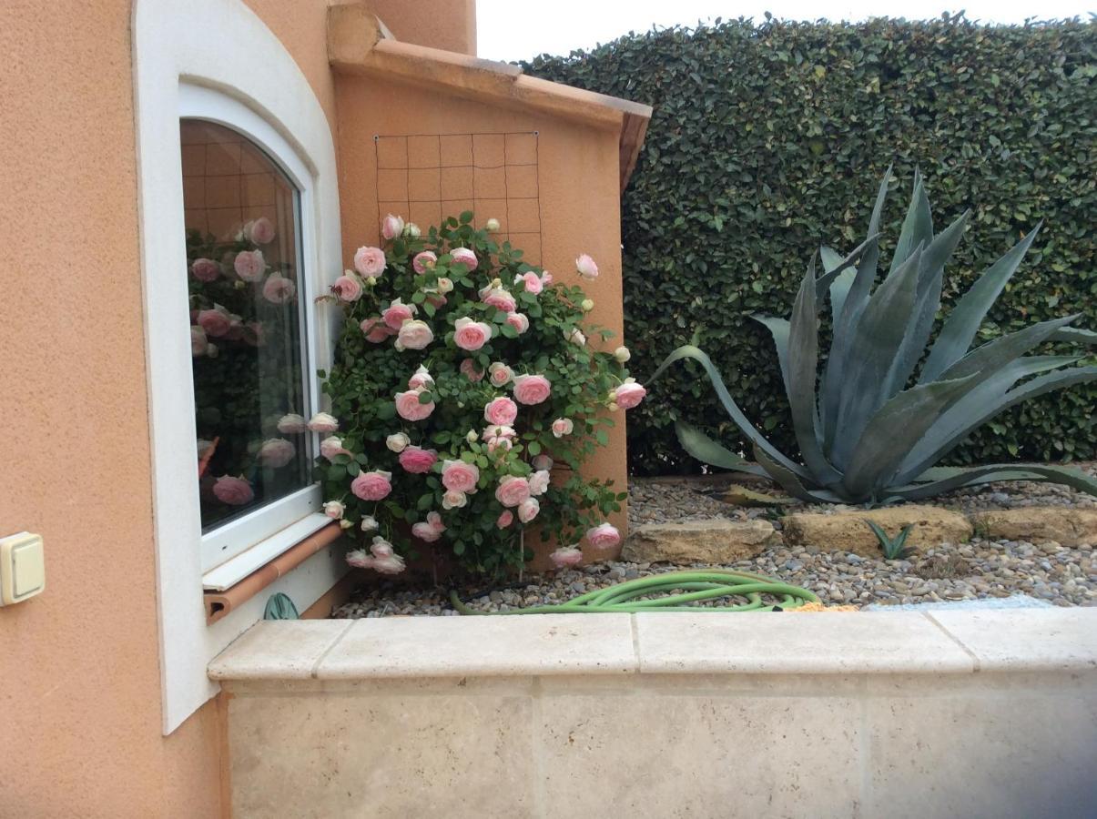 알렝 Les Lavandes B&B 외부 사진