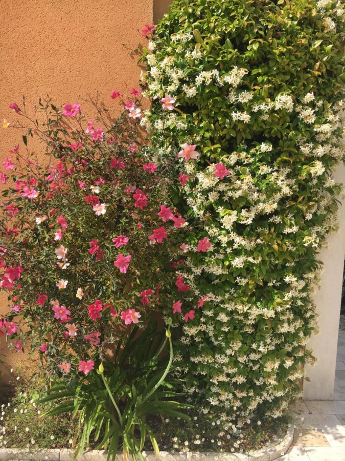 알렝 Les Lavandes B&B 외부 사진